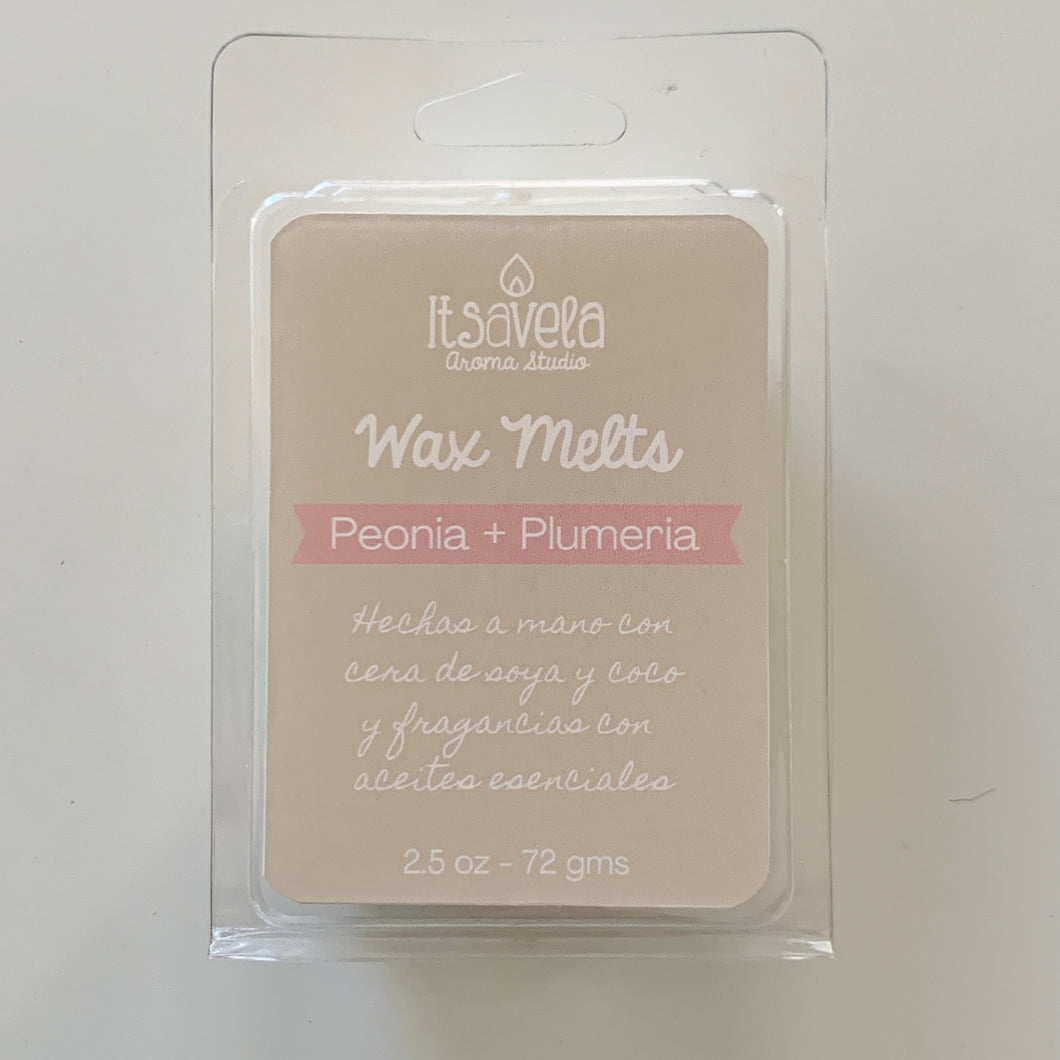 WAX MELTS de cera de soya y coco de diferentes aromas - Itsavela